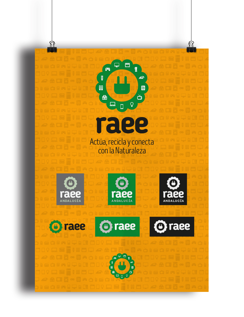 Poster Raee