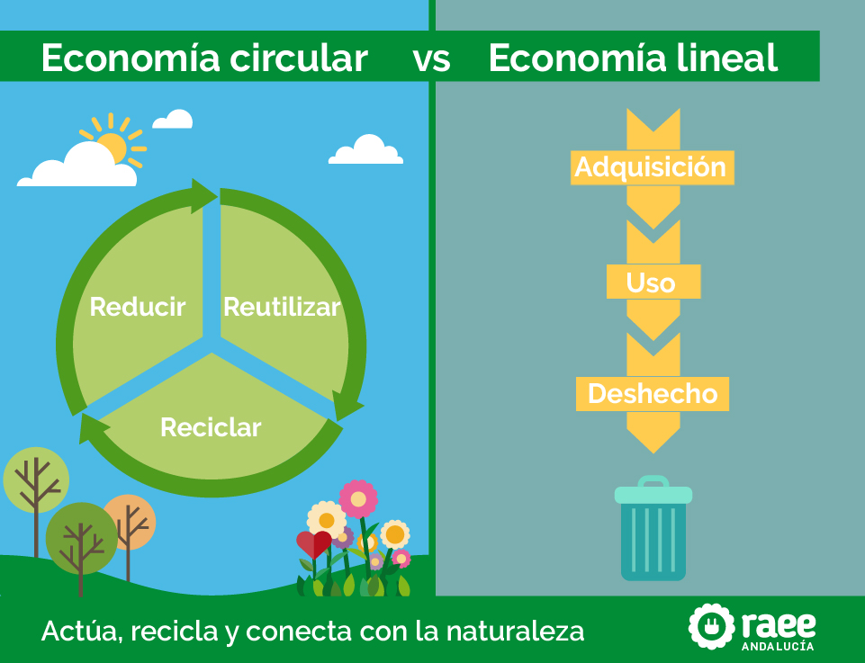 economia circular vs economia lineal