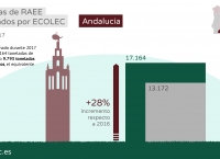 Ecolec gestión RAEE 2017