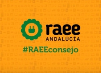 RAEEConsejo